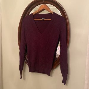 Express V-Neck Sweater